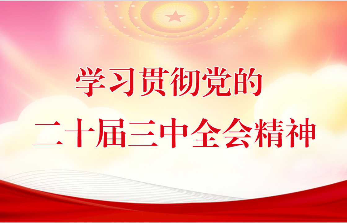學(xué)習(xí)貫徹黨的二十屆三中全會(huì)精神